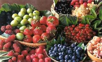Bessen groot sortiment zacht-fruit heerlijke zoete vruchten