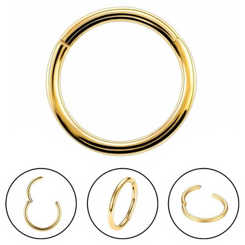 Fako Bijoux® - Chirurgisch Stalen Ring Piercing - Diameter, Bijoux, Sacs & Beauté, Piercings, Envoi
