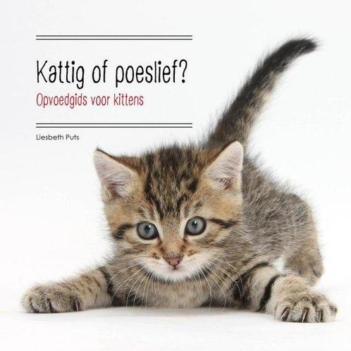 Kattig Of Poeslief? Opvoedgids Voor Kittens 2E Ed., Livres, Livres pour enfants | Jeunesse | 13 ans et plus, Envoi