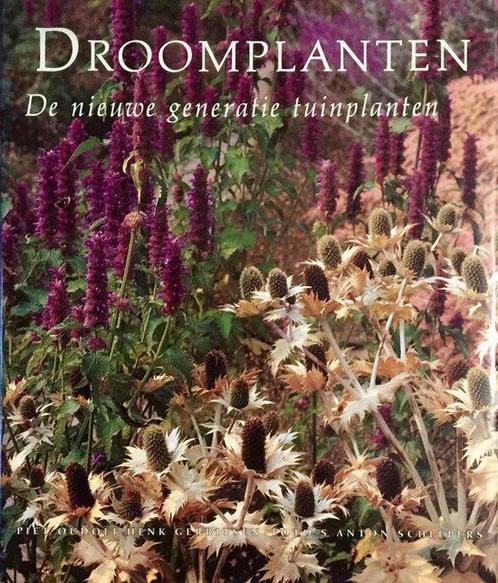 droomplanten 9789062554119, Livres, Nature, Envoi