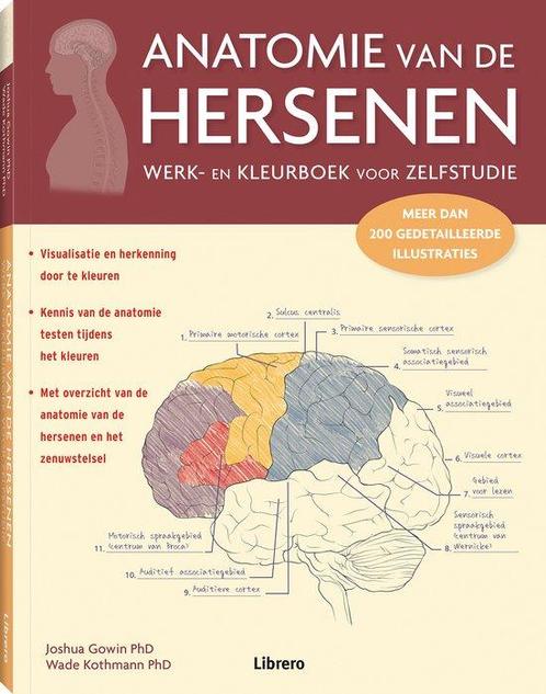 anatomie van de hersenen 9789463591072, Livres, Grossesse & Éducation, Envoi