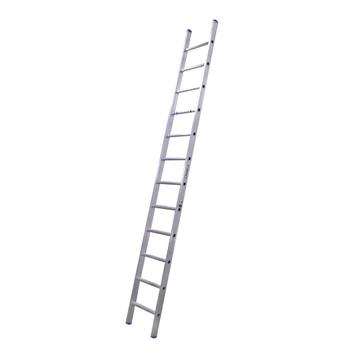 ALX XD professionele enkele ladder