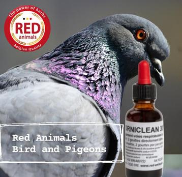Orniclean 30ml - Maakt alle luchtwegen vrij - Red Animals