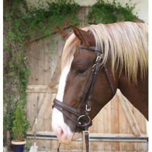 Trenshoofdstel, leder bruin - koudbloed - kerbl, Animaux & Accessoires, Chevaux & Poneys | Autres trucs de cheval