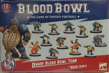 Warhammer Blood Bowl Dwarf Blood Bowl Team (Warhammer nieuw)