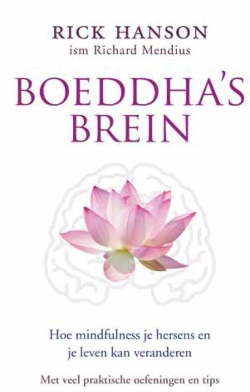 Boeddha`s brein 9789025961749, Livres, Psychologie, Envoi