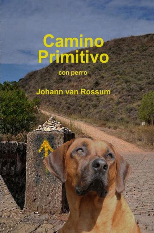 Camino Primitivo 9789402196290, Livres, Romans, Envoi