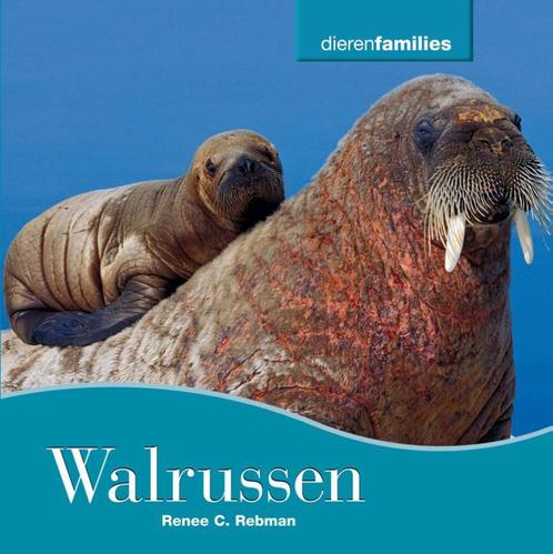 Dierenfamilies  -   Walrussen 9789055667345, Livres, Livres pour enfants | Jeunesse | 10 à 12 ans, Envoi