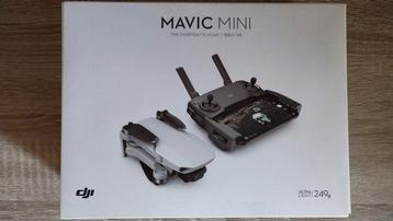 DJI Mavic Mini Drone-camera