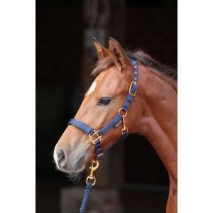 Halster topline - navy - veulen - kerbl, Animaux & Accessoires, Chevaux & Poneys | Autres trucs de cheval