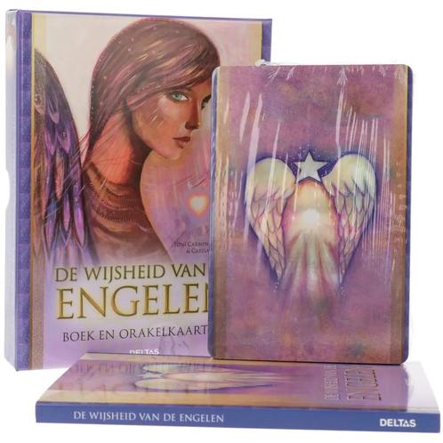 De wijsheid van de Engelen - Toni Carmine Salerno, Livres, Livres Autre, Envoi