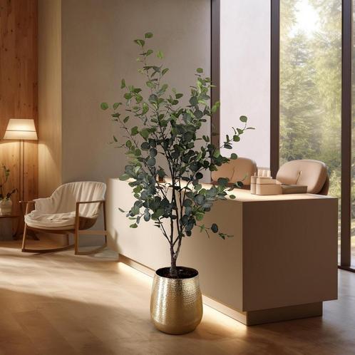 Kunstplant - Eucalyptus - Blauwe Gomboom - 140cm - 180 cm, Maison & Meubles, Accessoires pour la Maison | Plantes & Fleurs artificielles