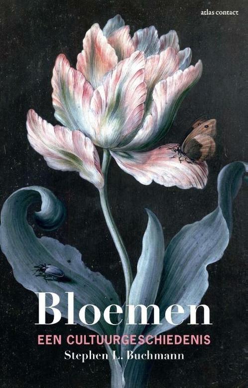 Bloemen (9789045028439, Stephen Buchmann), Livres, Informatique & Ordinateur, Envoi