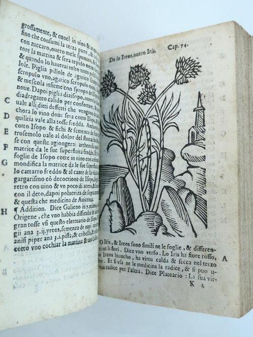 Anonyme / de Leno] Herbarius - Herbolario volgare. Nelquale, Antiquités & Art, Antiquités | Livres & Manuscrits