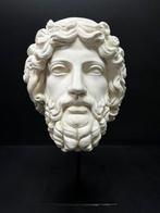 sculptuur, Testa di Zeus - 34 cm - marmeren stof