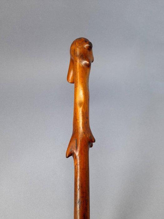 Wandelstok - Hout, Antiek en Kunst, Curiosa en Brocante