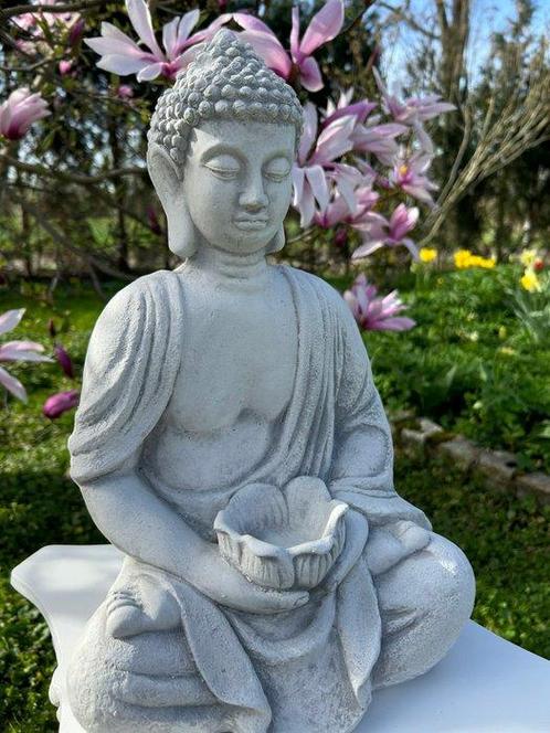 Beeld, Buddha - 40 cm - Beton, Antiek en Kunst, Curiosa en Brocante