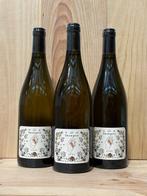 2022 Plume (Aymerick Geantet) - Savagnin - Vin de France - 3, Nieuw