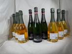 Cantine Ferrari, Marcato, 3x Ferrari Maximum Blanc De Blancs, Nieuw
