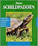 Schildpadden op de juiste manier verzorgen 9789052101064