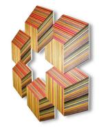 Danilo Nedi - Focused Skateboard Woodworks - The