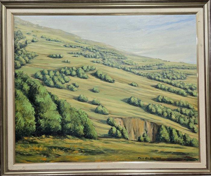 Poch Barber (1941) - Verde en calma, Antiek en Kunst, Kunst | Schilderijen | Klassiek