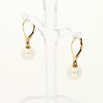 Oorbellen - 14 karaat Geel goud Parel, Nieuw