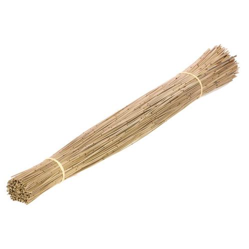 Restio giganteus natural vleireet koffieriet mikado  +/-, Huis en Inrichting, Woonaccessoires | Kunstplanten en Kunstbloemen, Nieuw