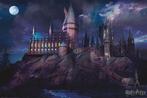 Harry Potter Hogwarts Poster 91 x 61 cm, Nieuw, Ophalen of Verzenden