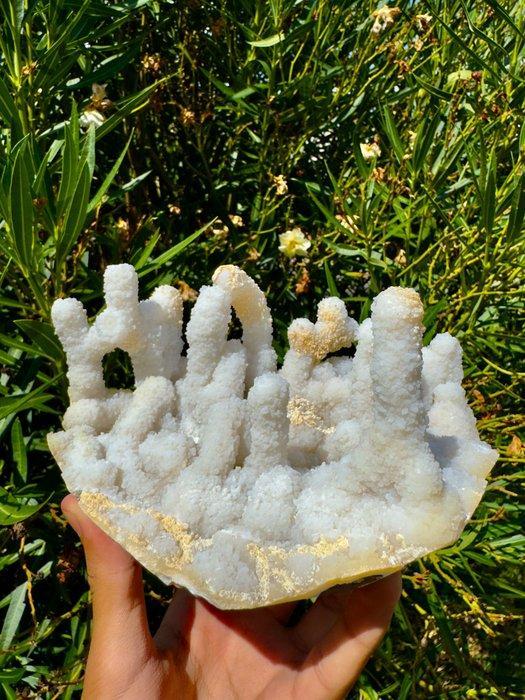 Verbazingwekkende Koraal Chalcedoon Kristal op matrix -, Verzamelen, Mineralen en Fossielen