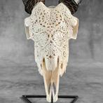 SANS PRIX DE RÉSERVE - Crâne de chèvre blanc sculpté à la