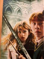 Daniel Radcliffe - Harry Potter y la Camara Secreta / 2002