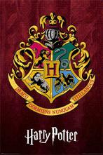 Hole in the Wall Harry Potter Maxi Poster-Hogwarts School, Verzamelen, Ophalen of Verzenden, Nieuw