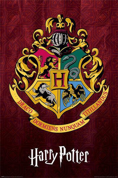Hole in the Wall Harry Potter Maxi Poster-Hogwarts School, Verzamelen, Posters, Ophalen of Verzenden