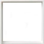 Gira Cadre adaptateur carré 50x50mm Système 55 Blanc pur -, Doe-het-zelf en Bouw, Elektriciteit en Kabels, Verzenden, Nieuw