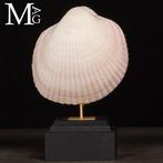 Maoricardium Pseudolima schelp op houten en messing basis, Antiek en Kunst