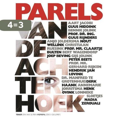 Parels van de Achterhoek 9789492108111 Erik Hagelstein, Boeken, Geschiedenis | Stad en Regio, Gelezen, Verzenden