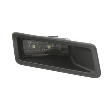License Plate Lighting Rear Bumper RH DT, Autos : Pièces & Accessoires, Éclairage, Enlèvement ou Envoi