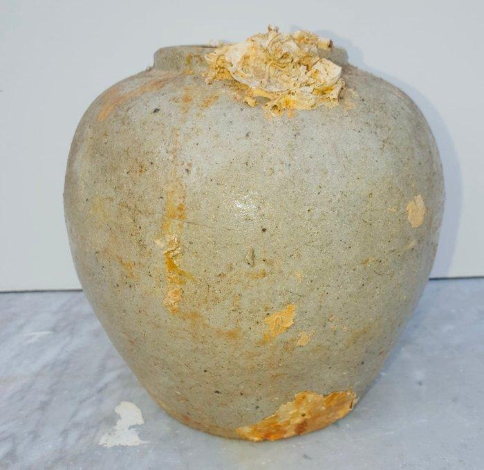 Pot met gember - Steengoed - China - 20e eeuw, Antiek en Kunst, Antiek | Overige Antiek