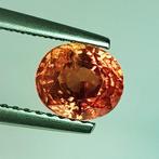 Zonder Minimumprijs Oranje Saffier  - 1.56 ct -, Handtassen en Accessoires, Edelstenen, Nieuw