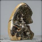 Mooie natuurlijke septarische geode Met calcietkristallen-