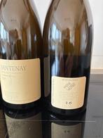 2019 Pierre-Yves Colin-Morey Comme Dessus - Santenay - 3, Collections, Vins