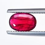 Robijn - 1.77 ct - nternational Colored Gemstone Association, Nieuw