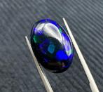 8,30ct Opaal Cabochon- 1.66 g, Collections