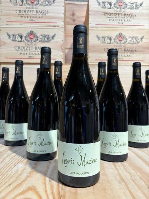 2019 Domaine Leyris Maziere Cuvée les Pouges - Languedoc -, Verzamelen, Wijnen