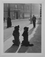 Robert Doisneau (1912–1994) - Dogs, Rue de la Chapelle,, Antiek en Kunst