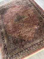 Bidjar - Tapis - 350 cm - 249 cm, Nieuw