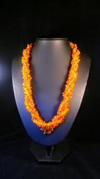 Poli - Ambre - Long Baltic Amber necklace - clear Cognac -, Antiek en Kunst