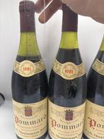 1981 E.&D. Moingeon Frères - Pommard - 5 Bouteilles (0,75 L), Collections, Vins