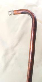 Wandelstok - Platina, edele hout. - Oude en elegante, Antiek en Kunst